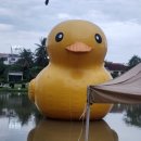 팍스마트 이미지