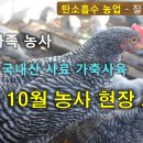 자연축산2 이미지