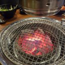 불타는갈매기 이미지