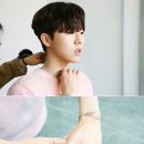 포크기타(주간) 이미지