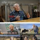 보령커피창고 네이버블로그