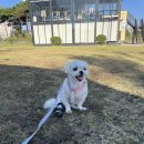 눈보뛰 프리미엄 이미지