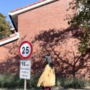 (주)프로비아 | 용산공원 미군기지 가는 법 포토스팟 | 필카 작가 친구랑 출사