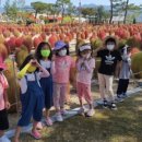 곡성-027 이미지