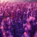 나만의테라피 이미지