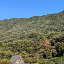 세모별 | 청도 세모 글램핑에서 보낸 감성 가득한 하루