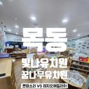 몬테소리유치원 | 5세 목동 일반유치원 3곳 입학설명회 후기3｜빛나유치원 VS 꿈나무유치원｜몬테소리와 레지오 에밀리아...
