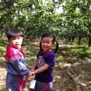 서하농장 이미지