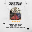 주식회사 벨라 이미지