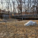 햇빛공원 배드민턴장 이미지