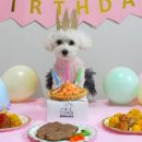 멍냥이수라간 이미지