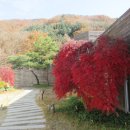 힐리언스 이미지