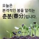 3월 20일(토) 오늘은 춘분 이미지