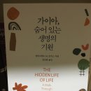 지식날개