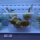 마라순코우 | 성동구민 최애마라탕집!! 마라고추 진짜 썰어서 해주는 정통 마라샹궈 / 신금호마라탕 &lt;마라순코우&gt;