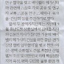 콩나라 이미지
