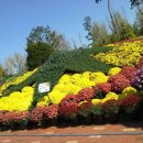 제60공원 이미지