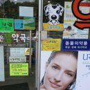 샘약국 이미지