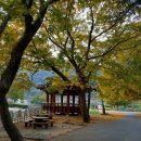 Autumn Leaves 고 엽 (枯葉) 이미지