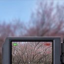 남평문씨본리세거지 주차장 이미지
