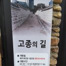 덕수궁 돌담길 산책 후기 이미지