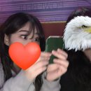 갑사포차