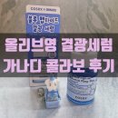 블루기획 | 코스알엑스 더 블루 펩타이드 결광 세럼 후기 | 올리브영 가나디 콜라보 기획세트 리뷰