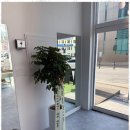 평택 터미널 맞은편 이미지