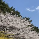 좌광천3(자전거도로) | 중앙공원/좌광천/꽃구경