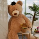 할리베어(HOLLY BEAR)