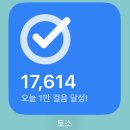 막노동 후기