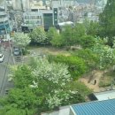 데굴데굴당구장 이미지