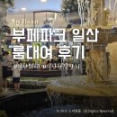 유로파크(카페 보몽드) | 웨스턴돔 맛집 일산 부페파크 환갑잔치 룸예약 주차 및 후기