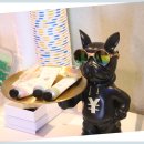 아름다운노래연습장 이미지