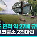 사재농장 이미지