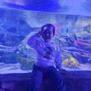 쉼표 더하기 이미지