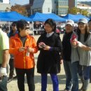 홍천초등학교 Daum카페