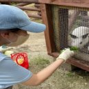 상호농장 이미지