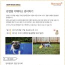 해마루스튜디오