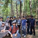 우면산3-29 이미지