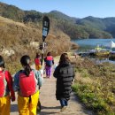 홈마트잡화 이미지