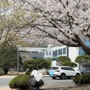 아가방플렉스유성NC 이미지