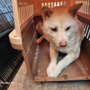 GS25 주안한빛점 이미지