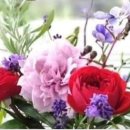 행복한 꽃 이미지