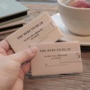 아담비디오 이미지