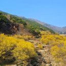 구례 이미지