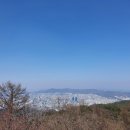 푸른법무사사무소 이미지