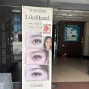 버드속눈썹 | 라이크헤이즐 - 시원 또렷한 눈매! 당산 속눈썹맛집 라이크헤이즐 아이돌래쉬 포인트속눈썹 연장 솔직 후기