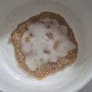 펫테리 | 잭러셀테리어 강아지 백내장 수술후1주차│회복과정 테리이야기