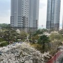 설기조아 이미지